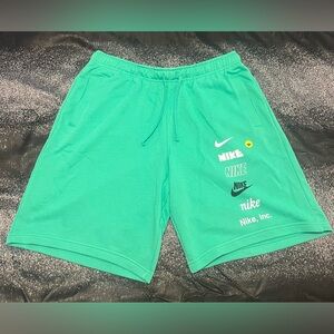Nike Men's Teal Athletic Shorts